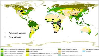 Carbon-isotope composition of artiodactyl tooth enamel and its implications for paleodiets